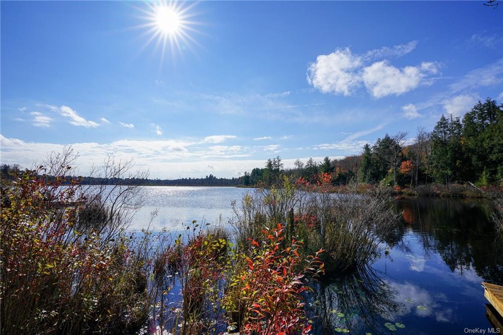 Amber Lake Road, Livingston Manor, New York image 1