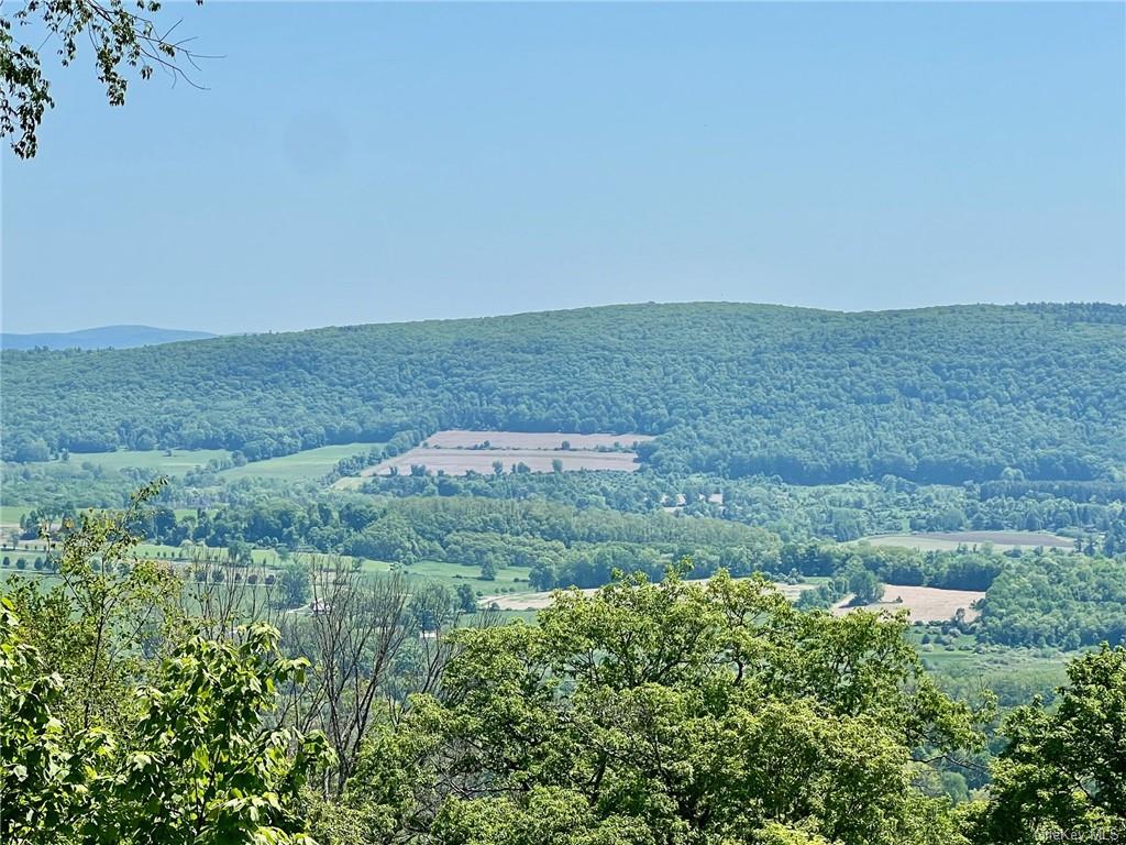 Silver Mountain Road, Millerton, New York image 16