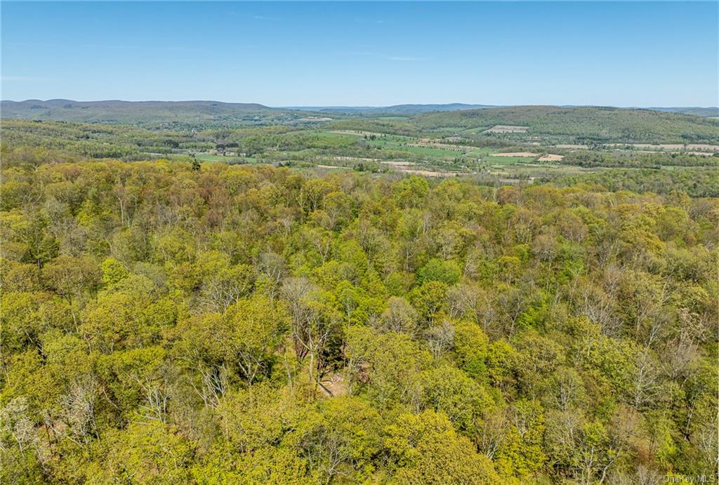 Silver Mountain Road, Millerton, New York image 8