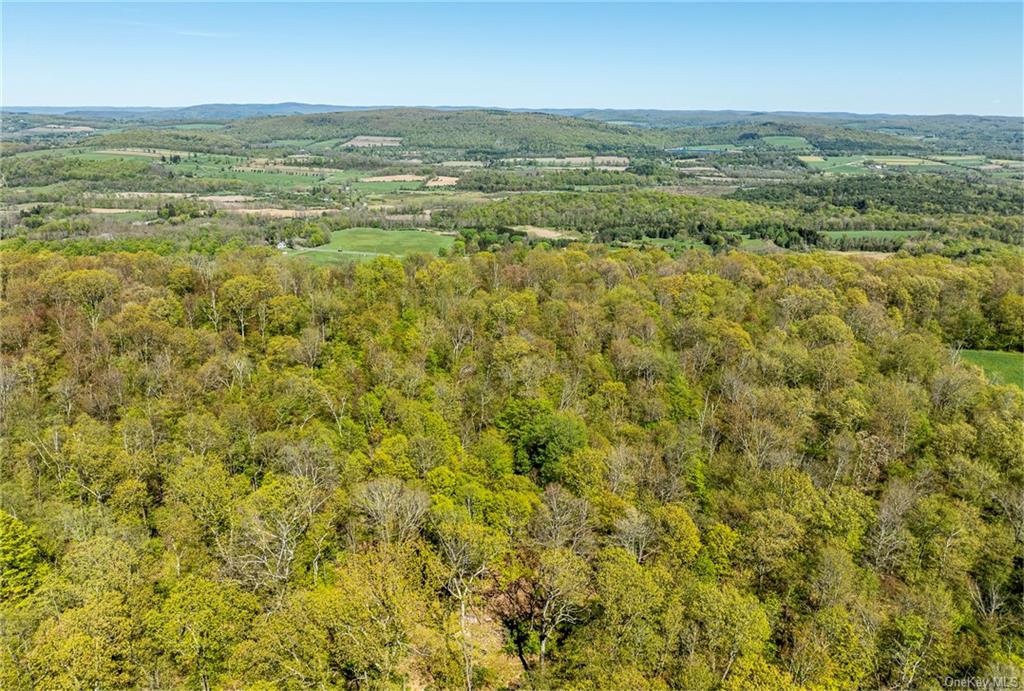 Silver Mountain Road, Millerton, New York image 7