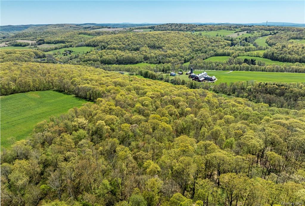 Silver Mountain Road, Millerton, New York image 6