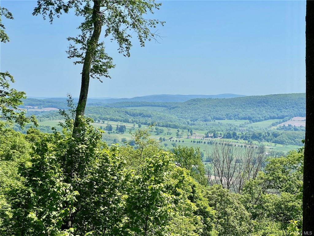 Silver Mountain Road, Millerton, New York image 19