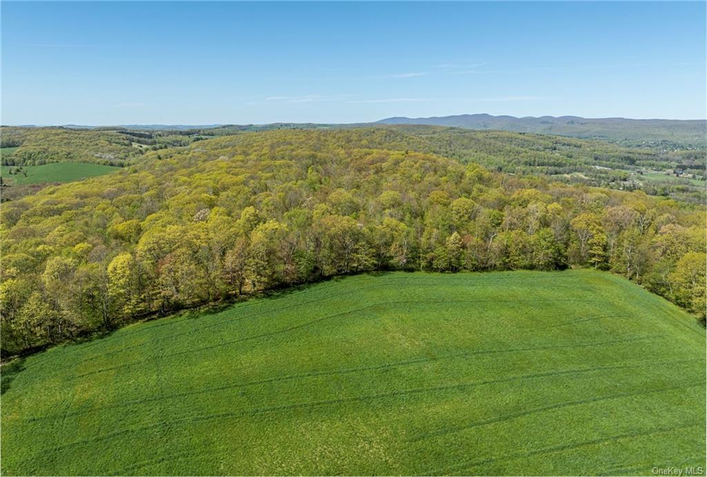 Silver Mountain Road, Millerton, New York image 3