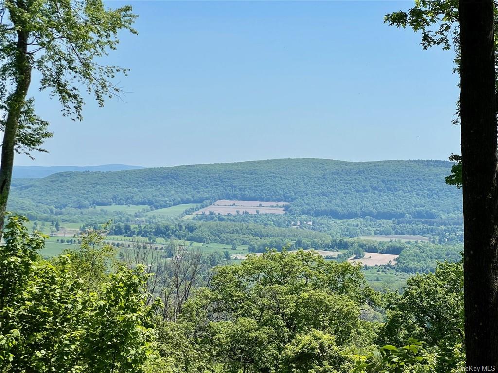 Silver Mountain Road, Millerton, New York image 18