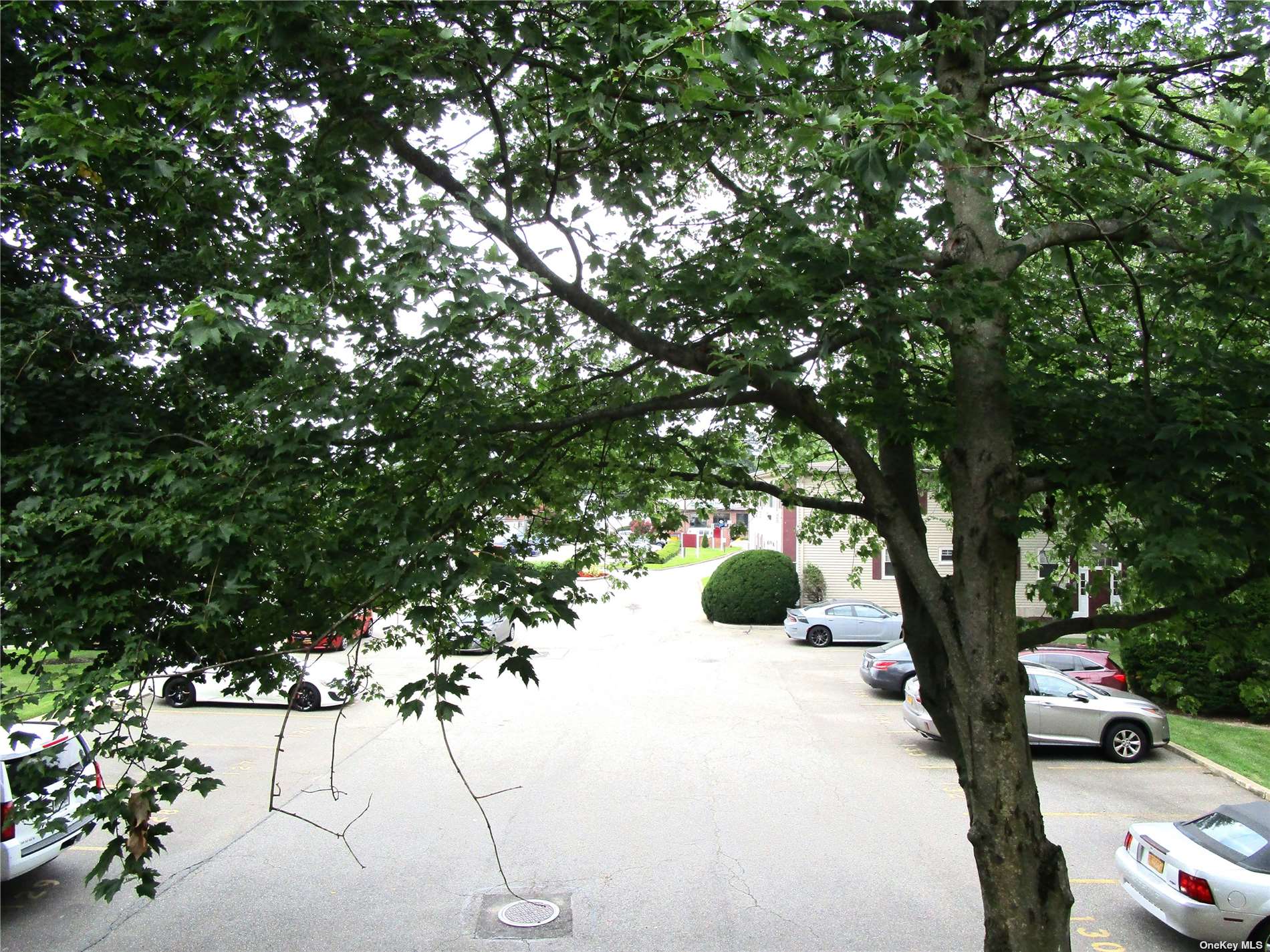 324 Post Ave #11-G, Westbury, New York image 27