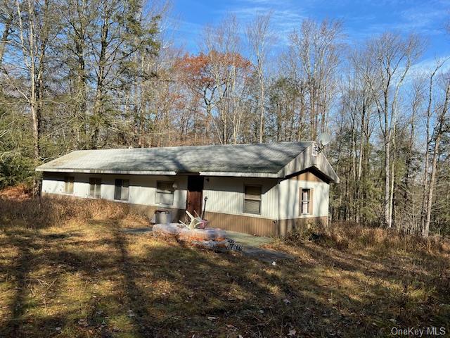 161 Hiram Jones Road, Monticello, New York image 1