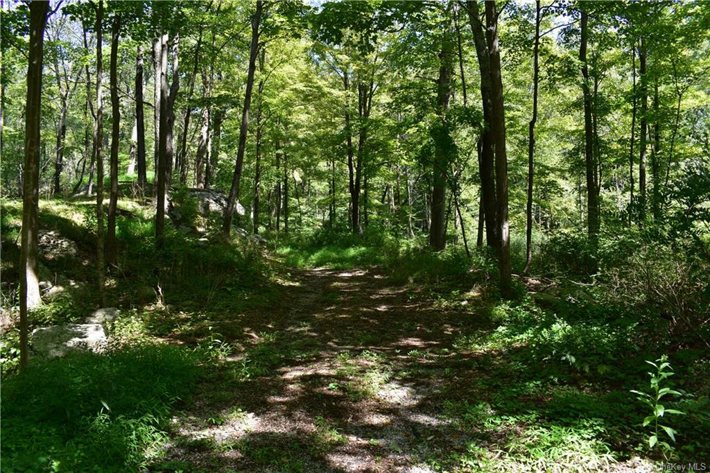 Acoma Road, Tuxedo Park, New York image 5