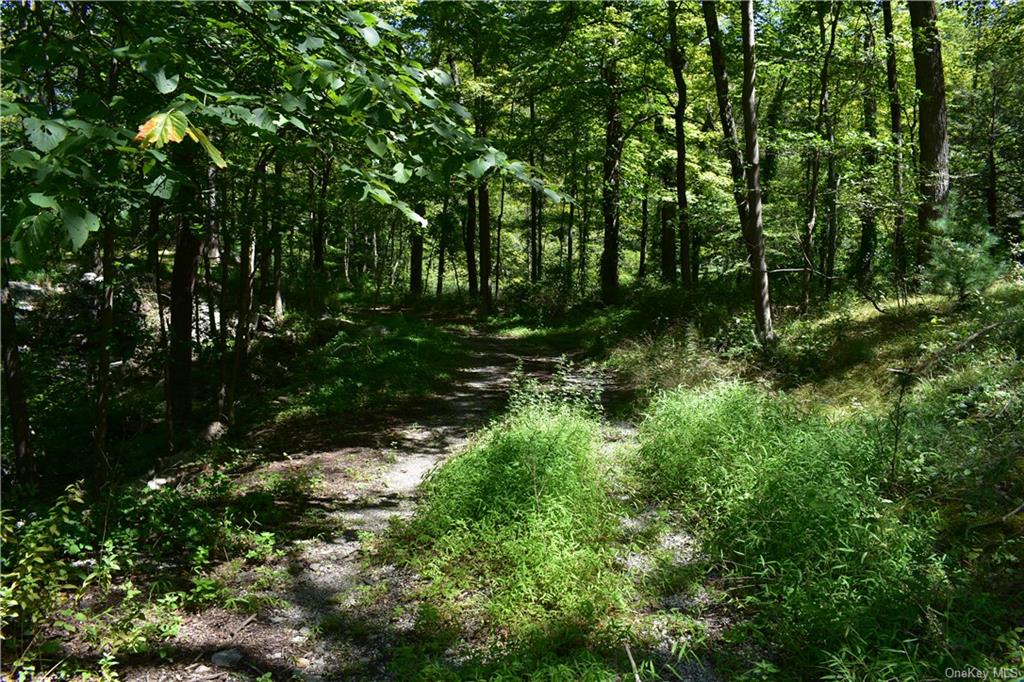 Acoma Road, Tuxedo Park, New York image 2