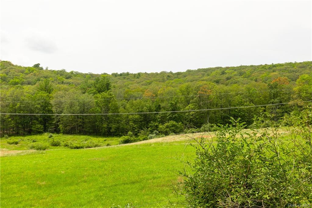 Texas Hill Road, Hillsdale, New York image 3