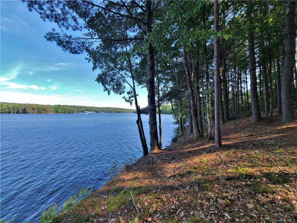 TBD Woodstone Trail, White Lake, New York image 4