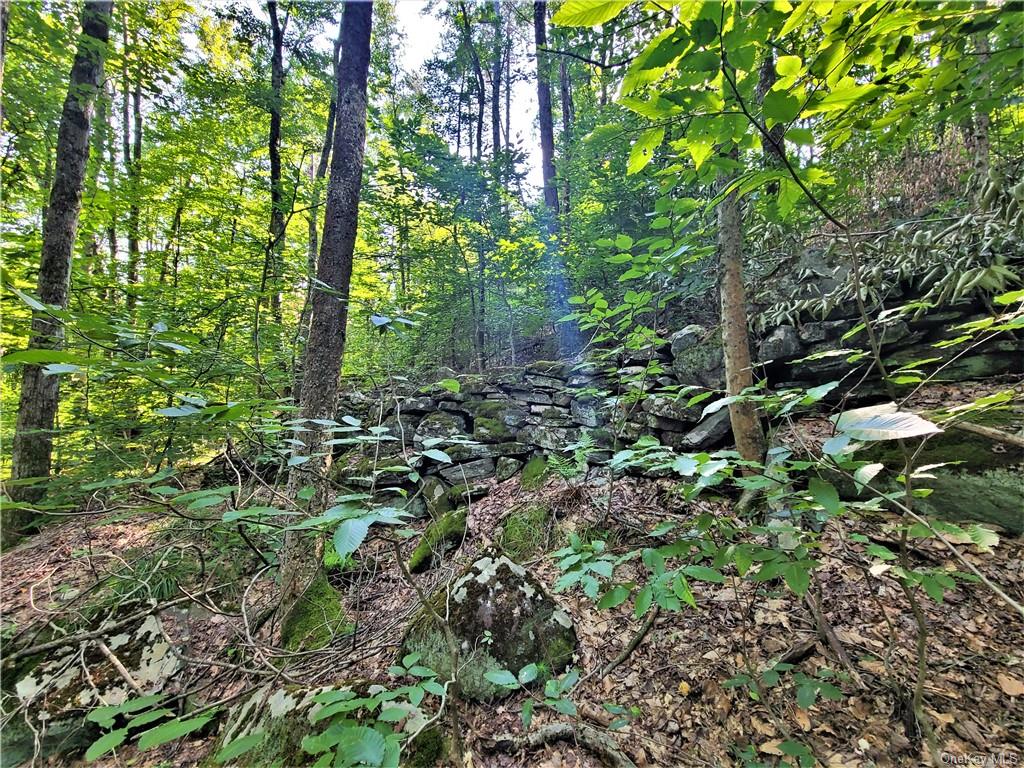 TBD Woodstone Trail, White Lake, New York image 9