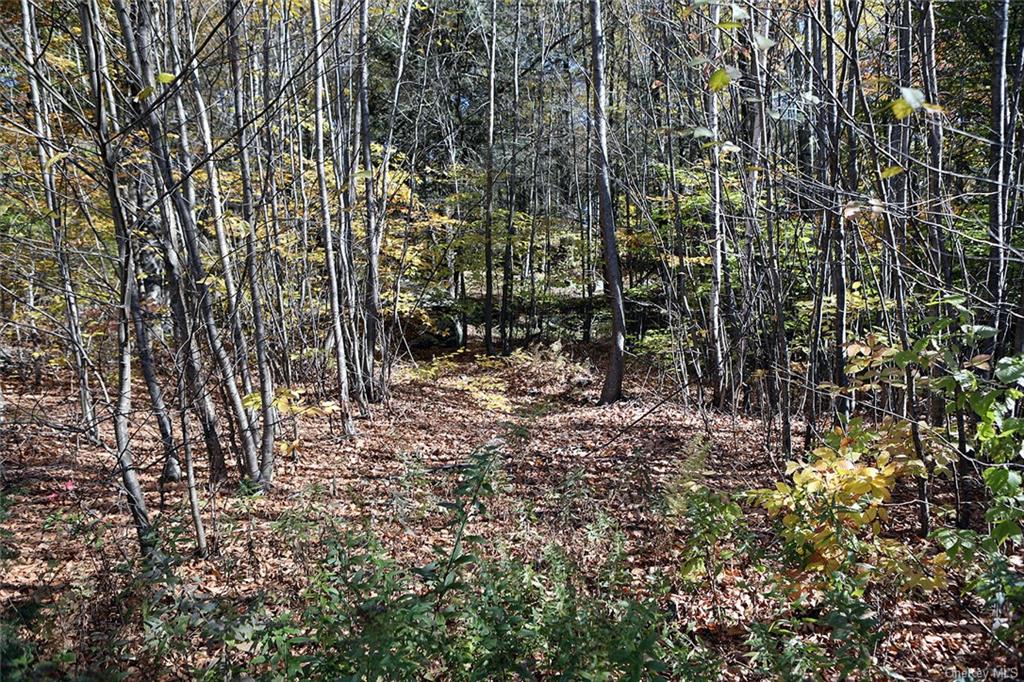 John Milk Road, Long Eddy, New York image 18