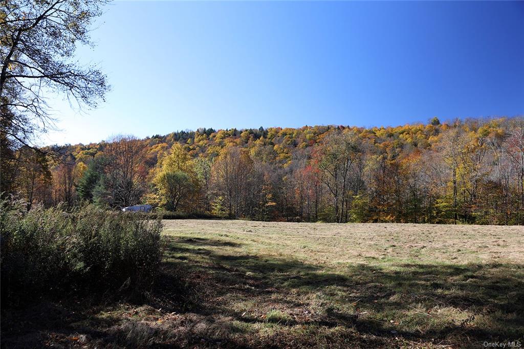 John Milk Road, Long Eddy, New York image 16