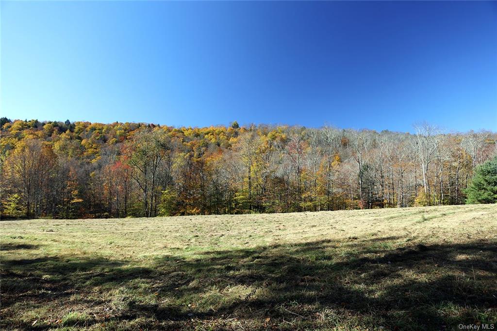 John Milk Road, Long Eddy, New York image 15