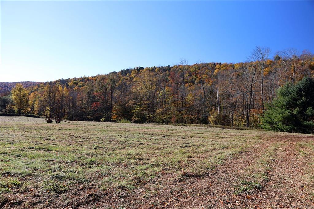 John Milk Road, Long Eddy, New York image 9