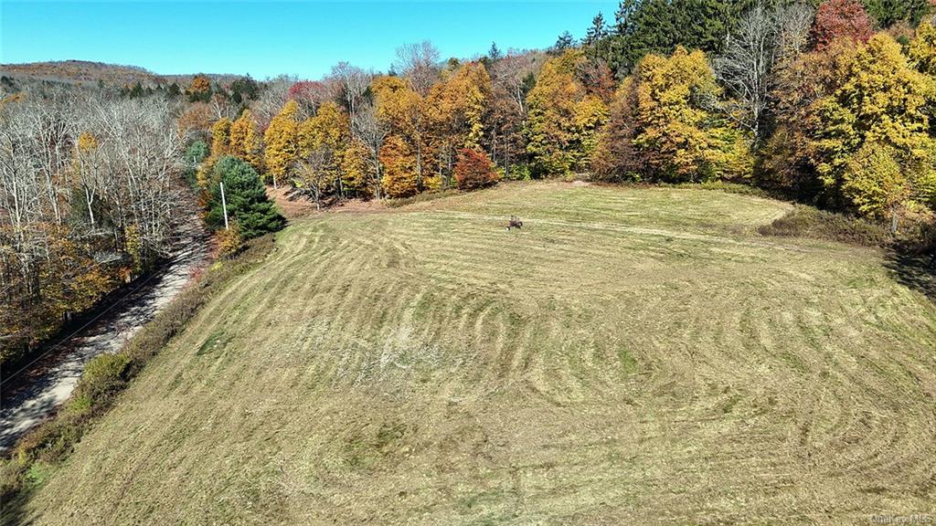 John Milk Road, Long Eddy, New York image 5