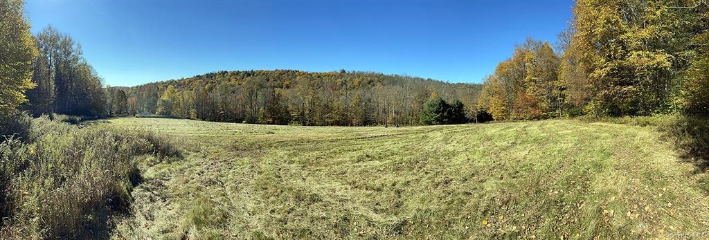 John Milk Road, Long Eddy, New York image 3