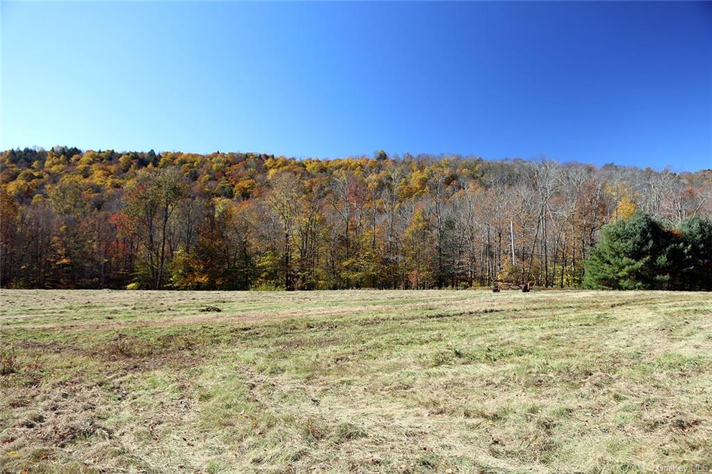 John Milk Road, Long Eddy, New York image 6