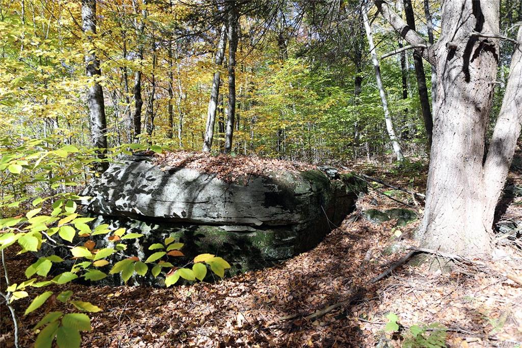 John Milk Road, Long Eddy, New York image 20