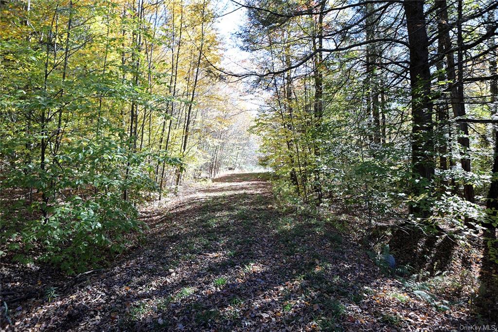 John Milk Road, Long Eddy, New York image 17