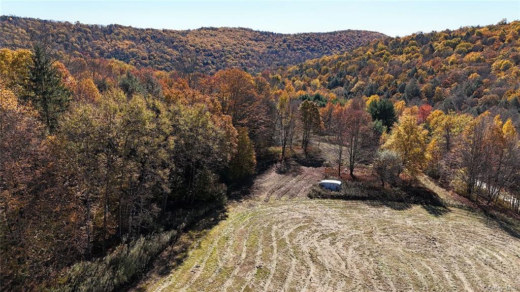 John Milk Road, Long Eddy, New York image 1