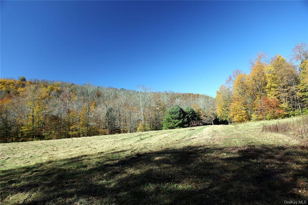 John Milk Road, Long Eddy, New York image 14