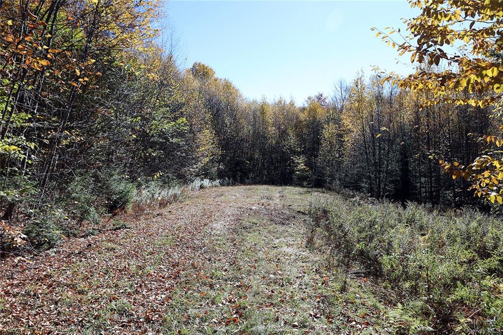 John Milk Road, Long Eddy, New York image 8