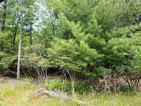 Vacant Land For Sale - Brady Avenue<br/> Smallwood, NY 12778