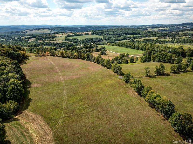 04 Bauernfiend Road, Callicoon, New York image 1