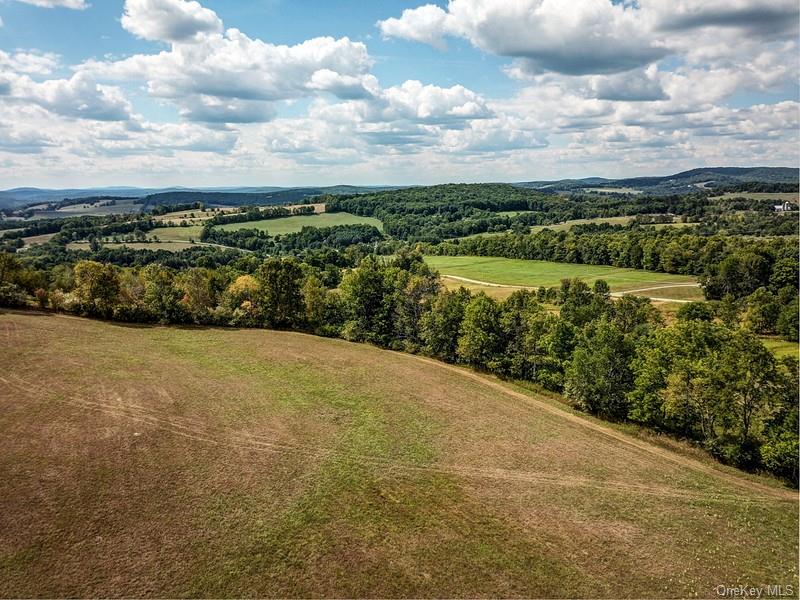 04 Bauernfiend Road, Callicoon, New York image 2