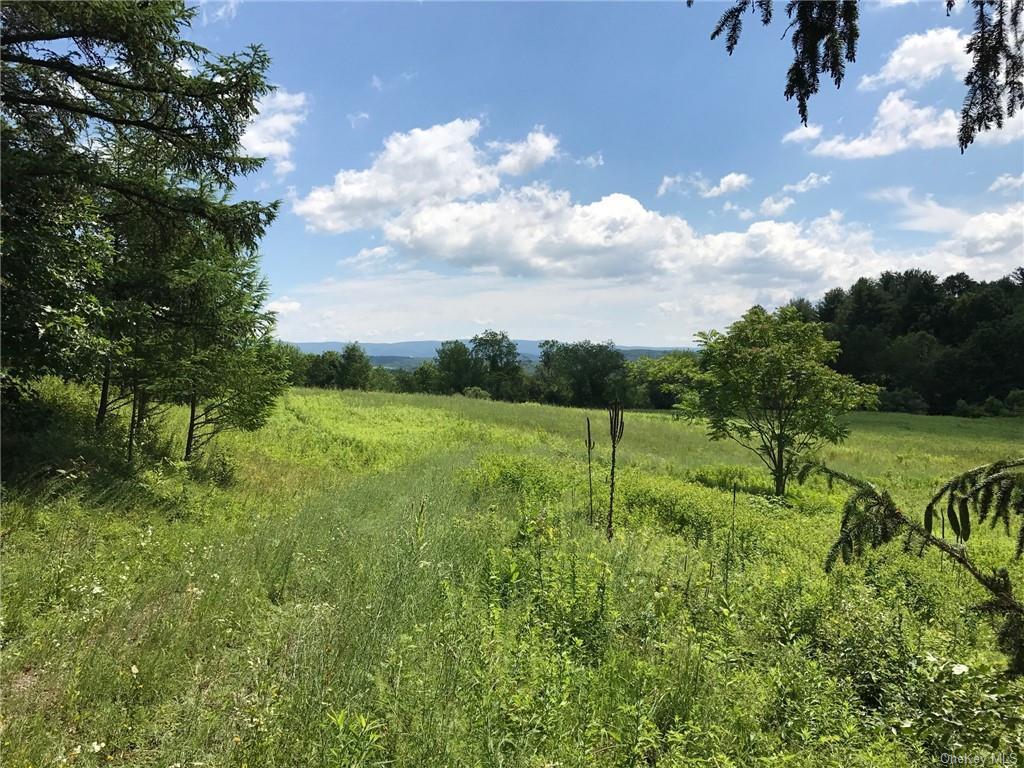 County Rte. 7, Ancram, New York image 8