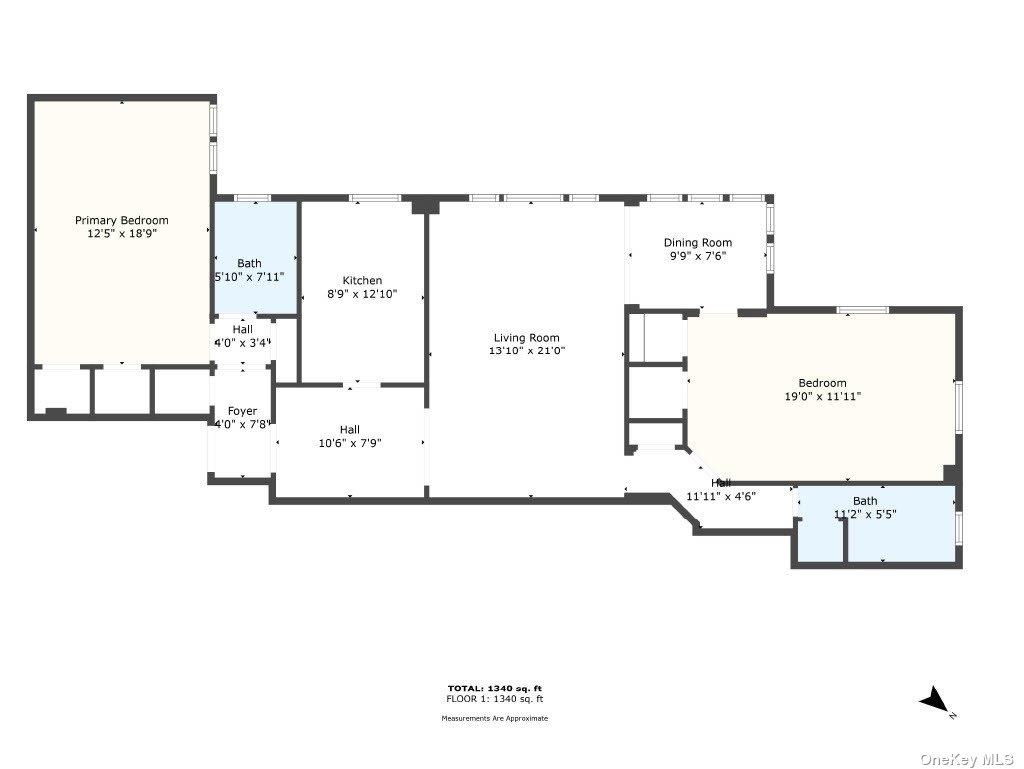 224 Highland Blvd Blvd #204, Brooklyn, New York image 9