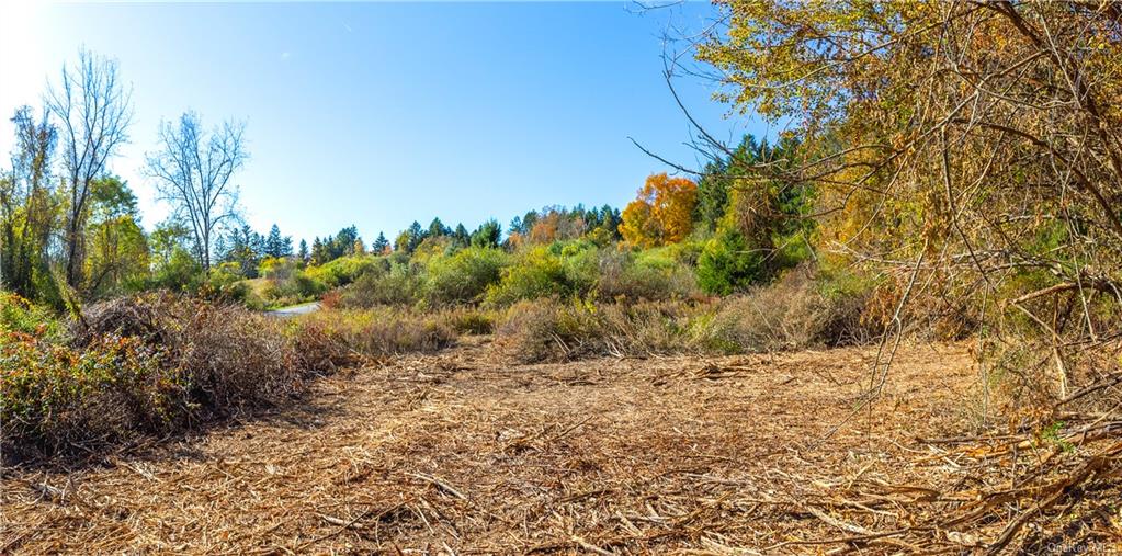 Lot #2 Dodge Road, Pawling, New York image 12