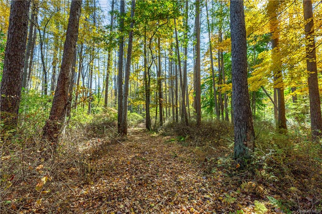 Lot #2 Dodge Road, Pawling, New York image 9