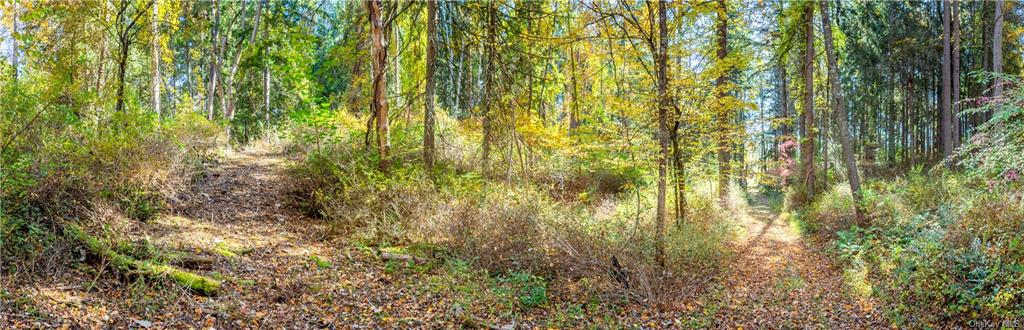 Lot #2 Dodge Road, Pawling, New York image 11