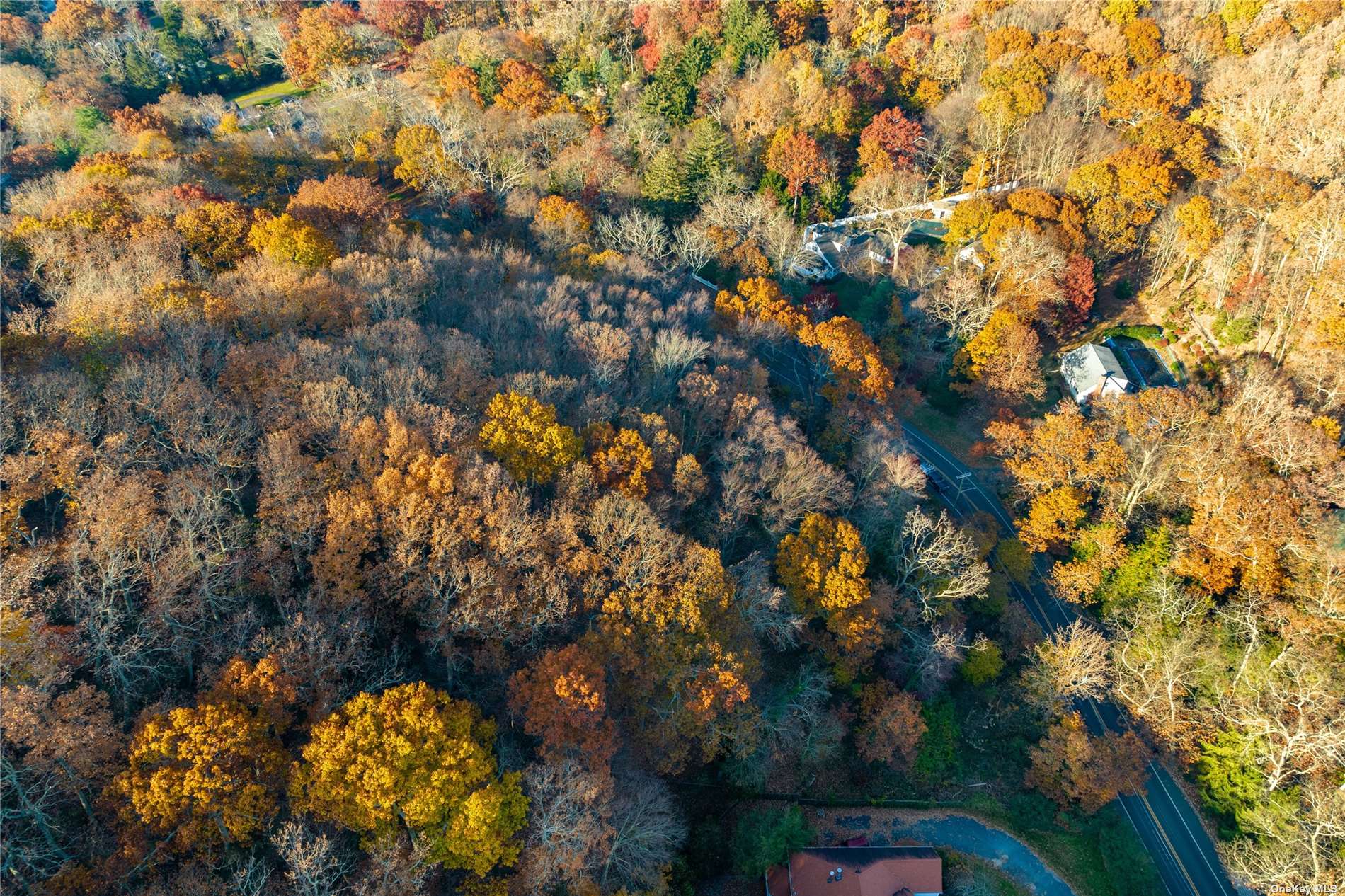 Stony Hollow Road, Greenlawn, New York image 11