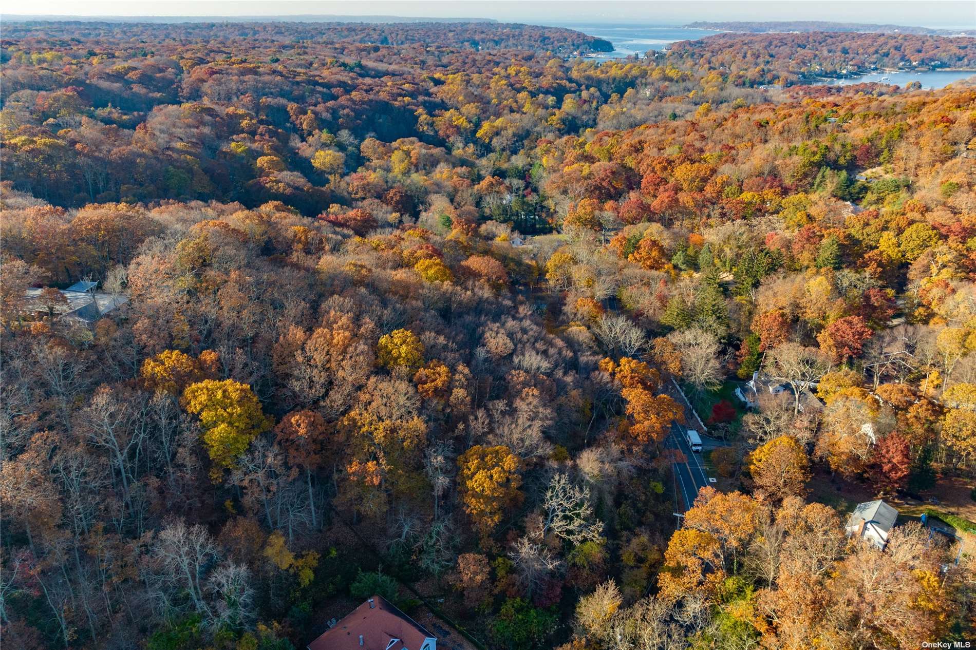 Stony Hollow Road, Greenlawn, New York image 7