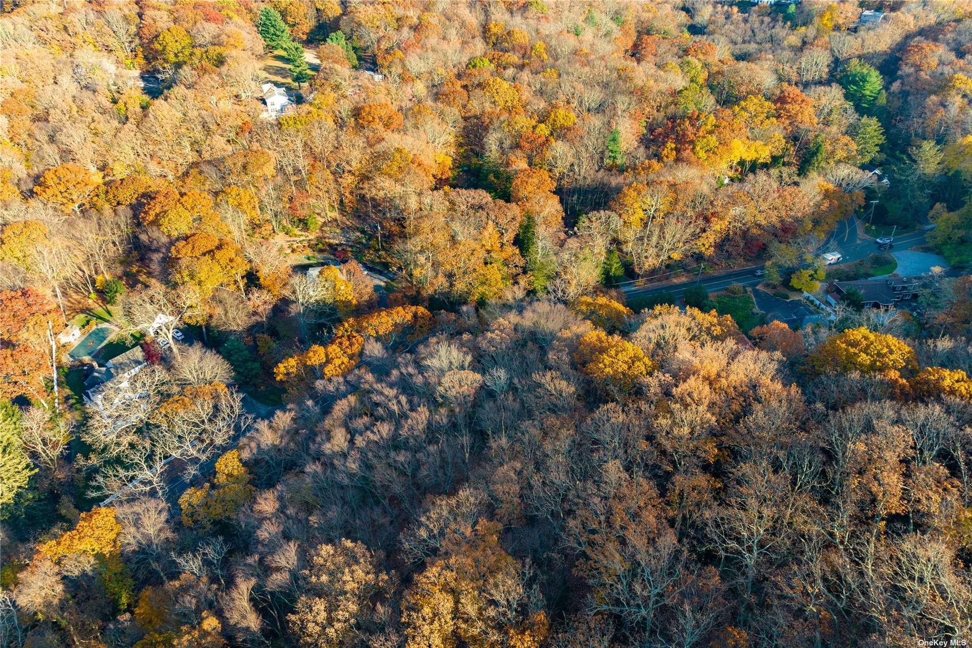 Stony Hollow Road, Greenlawn, New York image 10