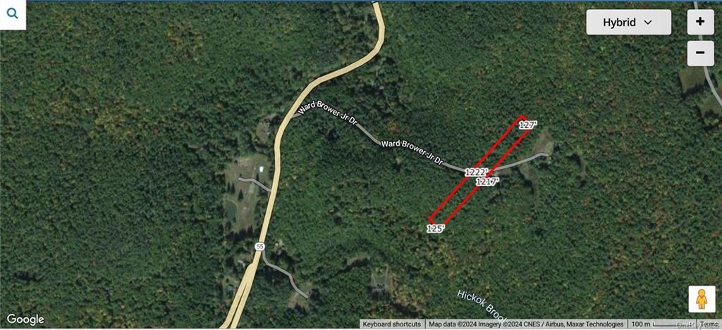 Lot 15-6 Ward Brower Jr Drive, Barryville, New York image 13