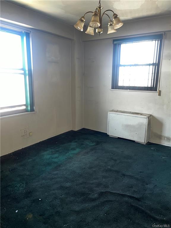 1020 Grand Concourse #17P, Bronx, New York image 8