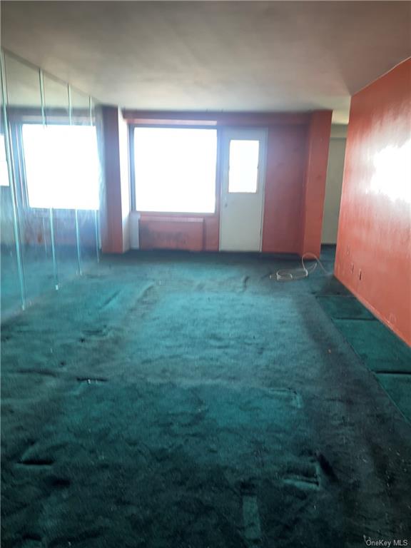1020 Grand Concourse #17P, Bronx, New York image 5