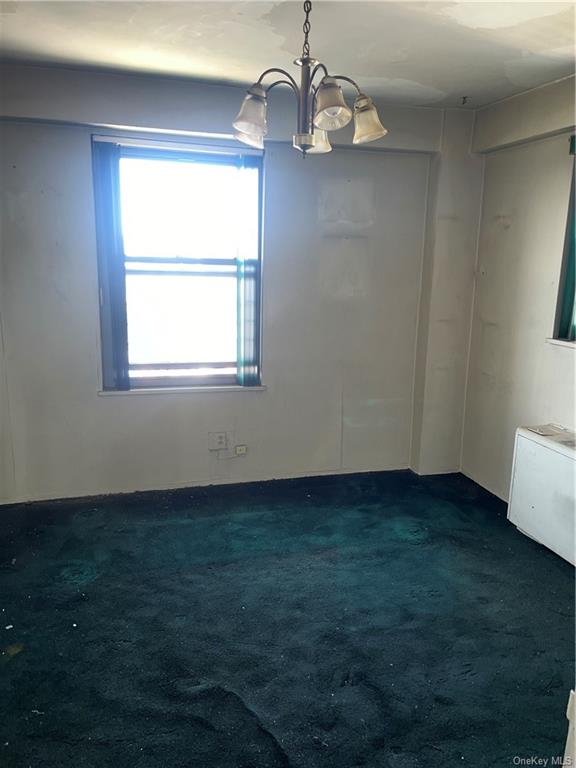 1020 Grand Concourse #17P, Bronx, New York image 7