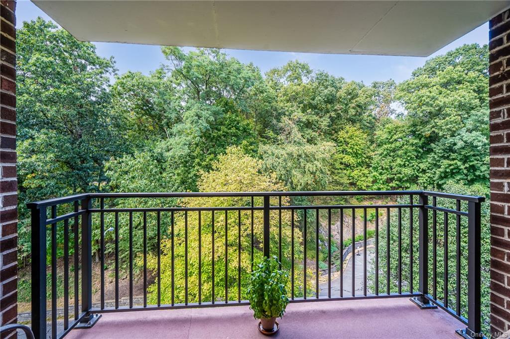 100 Diplomat Drive #6D, Mount Kisco, New York image 12