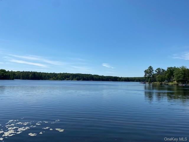 W Mohican Trail, Glen Spey, New York image 1