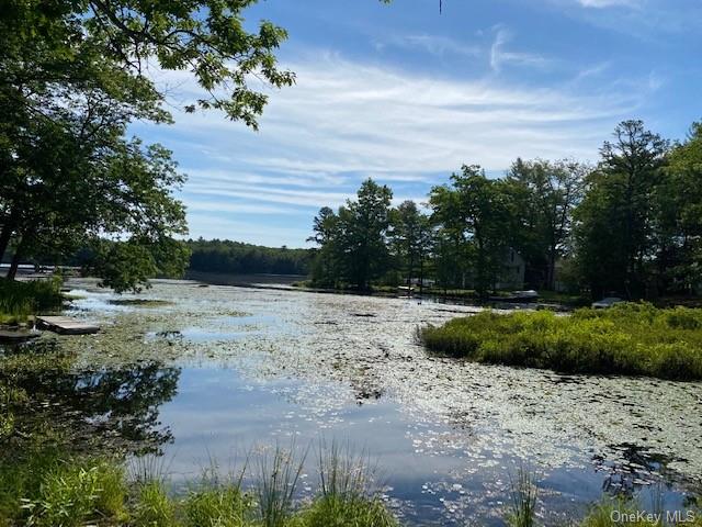 W Mohican Trail, Glen Spey, New York image 2