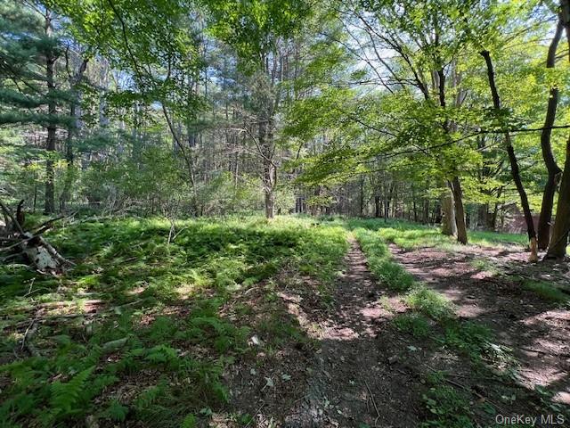 Lot 47.2 High Road, Glen Spey, New York image 6