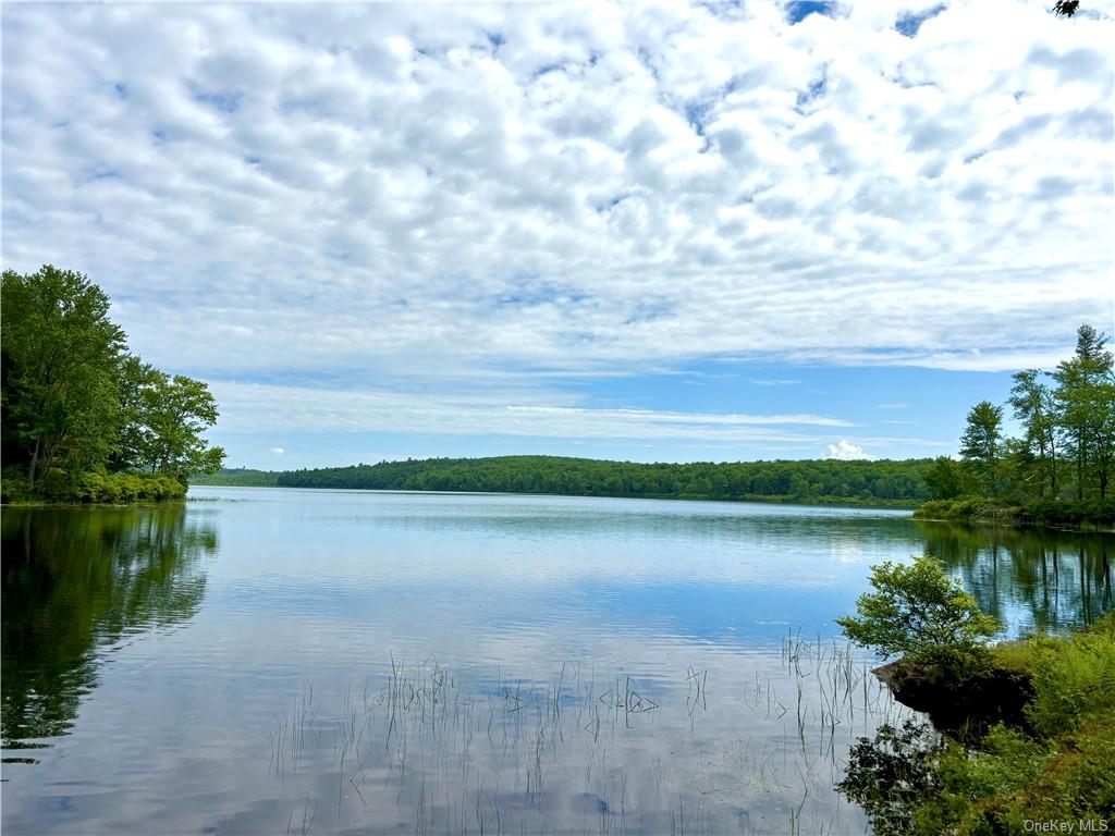 Lake Joseph Drive, Forestburgh, New York image 11