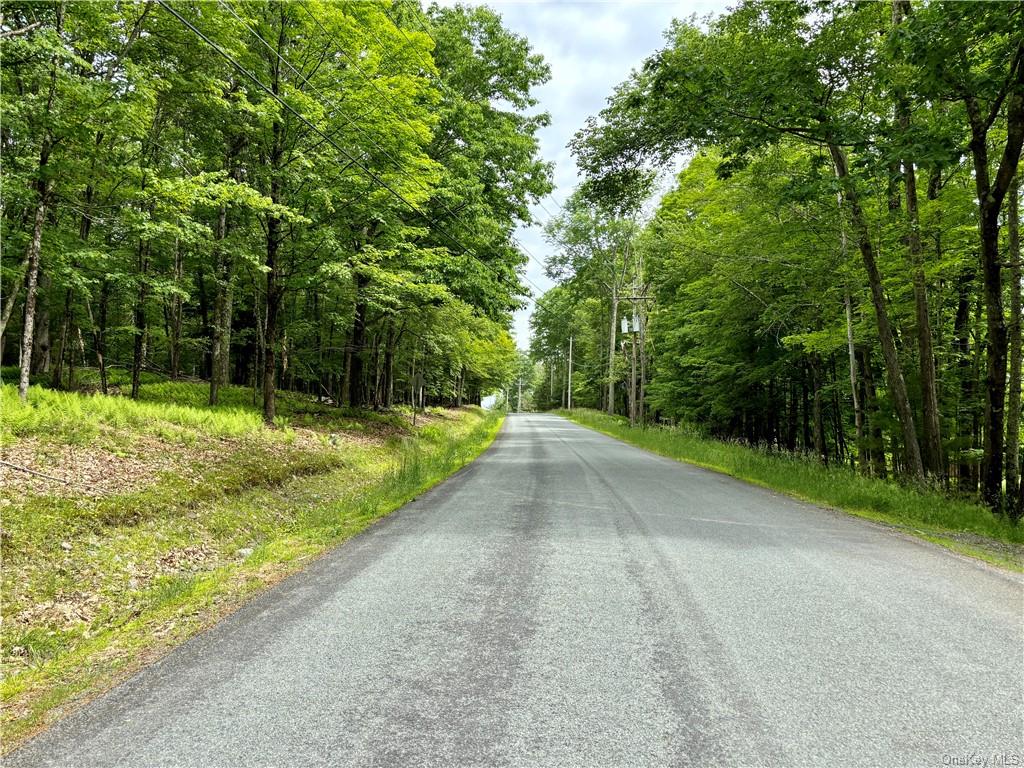 Lake Joseph Drive, Forestburgh, New York image 6