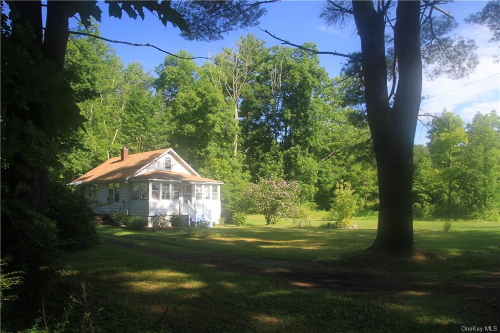 46 Weber Lane, Olivebridge, New York image 35