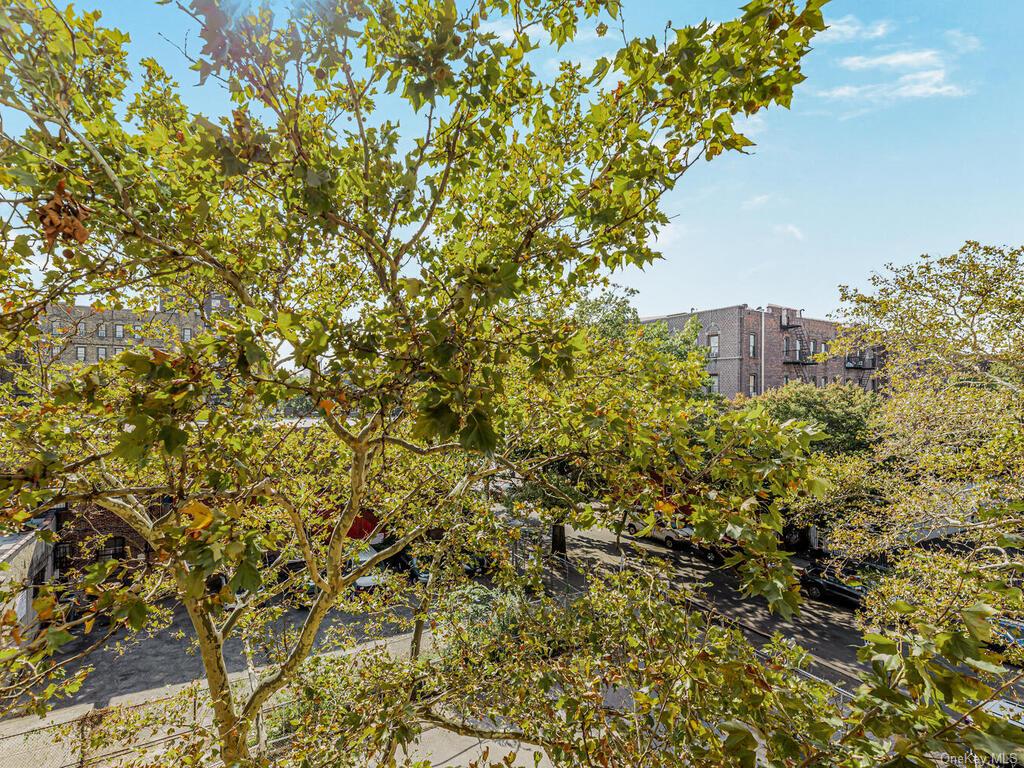 2750 Olinville Avenue #4C, Bronx, New York image 2